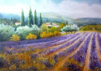Kopia wg. Gerhard Nesvadba - Lavender Poppy Square